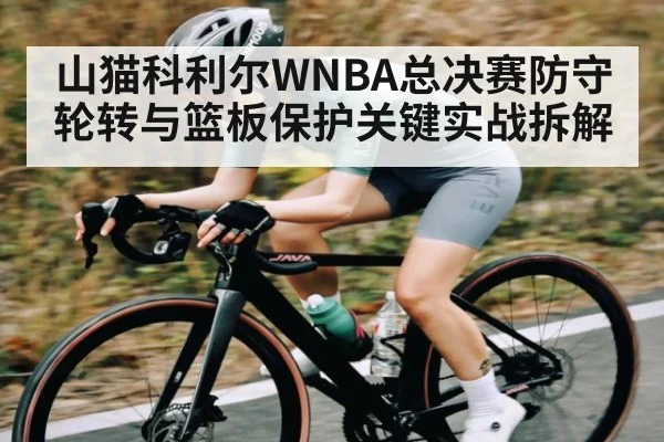 山猫科利尔WNBA总决赛防守轮转与篮板保护关键实战拆解